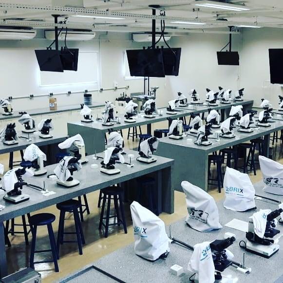 Anatomia do Microscópio Anatomia do Microscópio