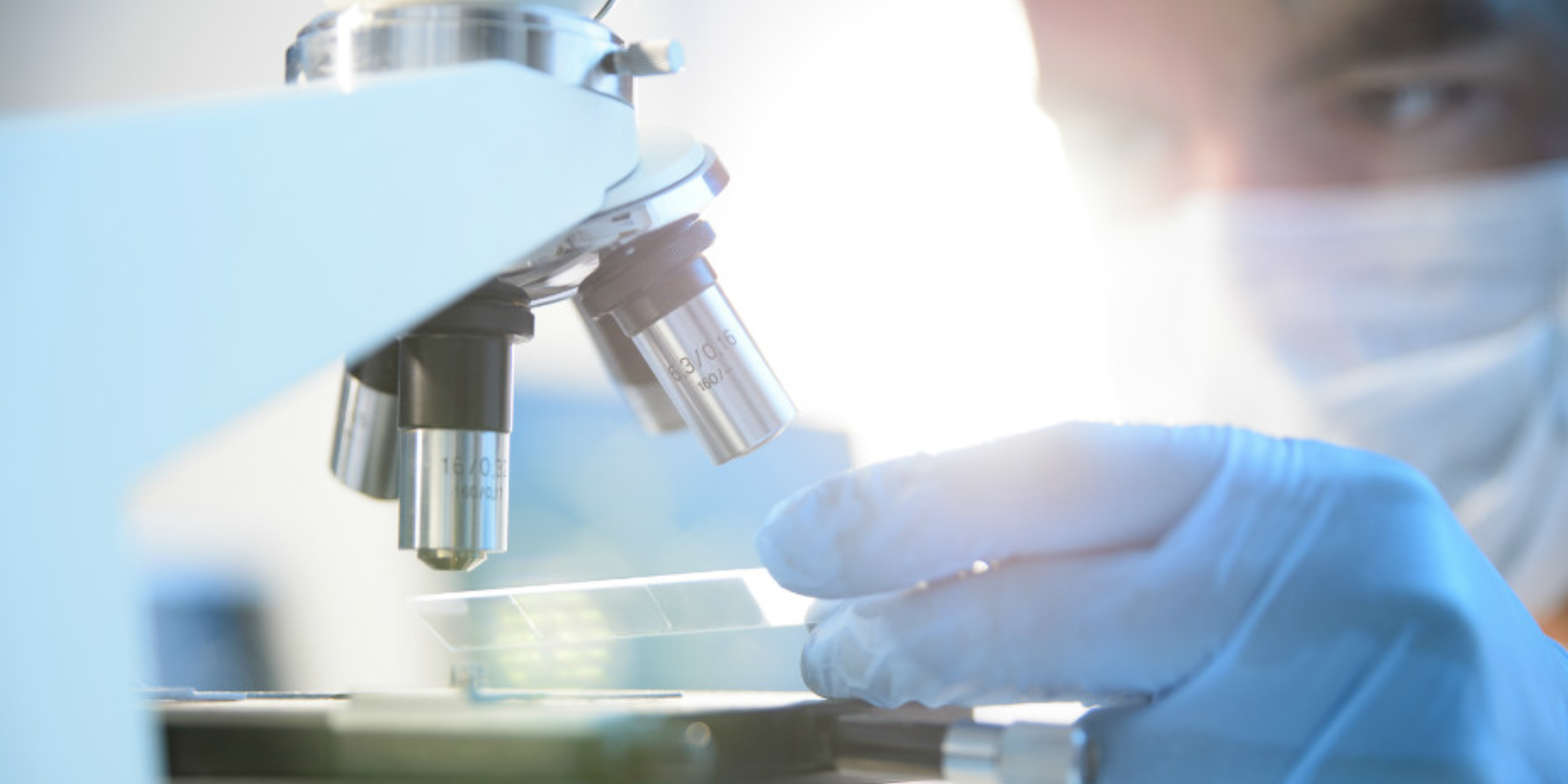 Anatomia do Microscópio